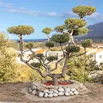 La Bastide Des Alberes Villa Villelongue-dels-Monts