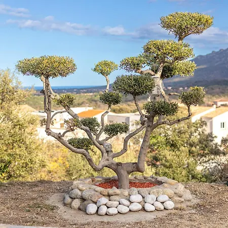 La Bastide Des Alberes